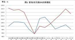 6月份青島CPI同比上漲1.8%,豬肉價格環比達年內最大降幅