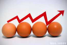 雞蛋價格漲速如“坐火箭”,或是這幾個原因導致,瞭解一下